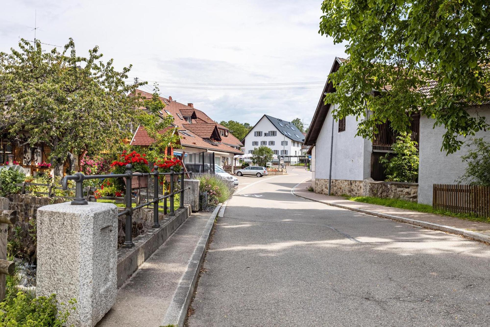 Ferienwohnung Mülhaupt Ühlingen-Birkendorf Exterior foto